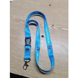 Lanyard